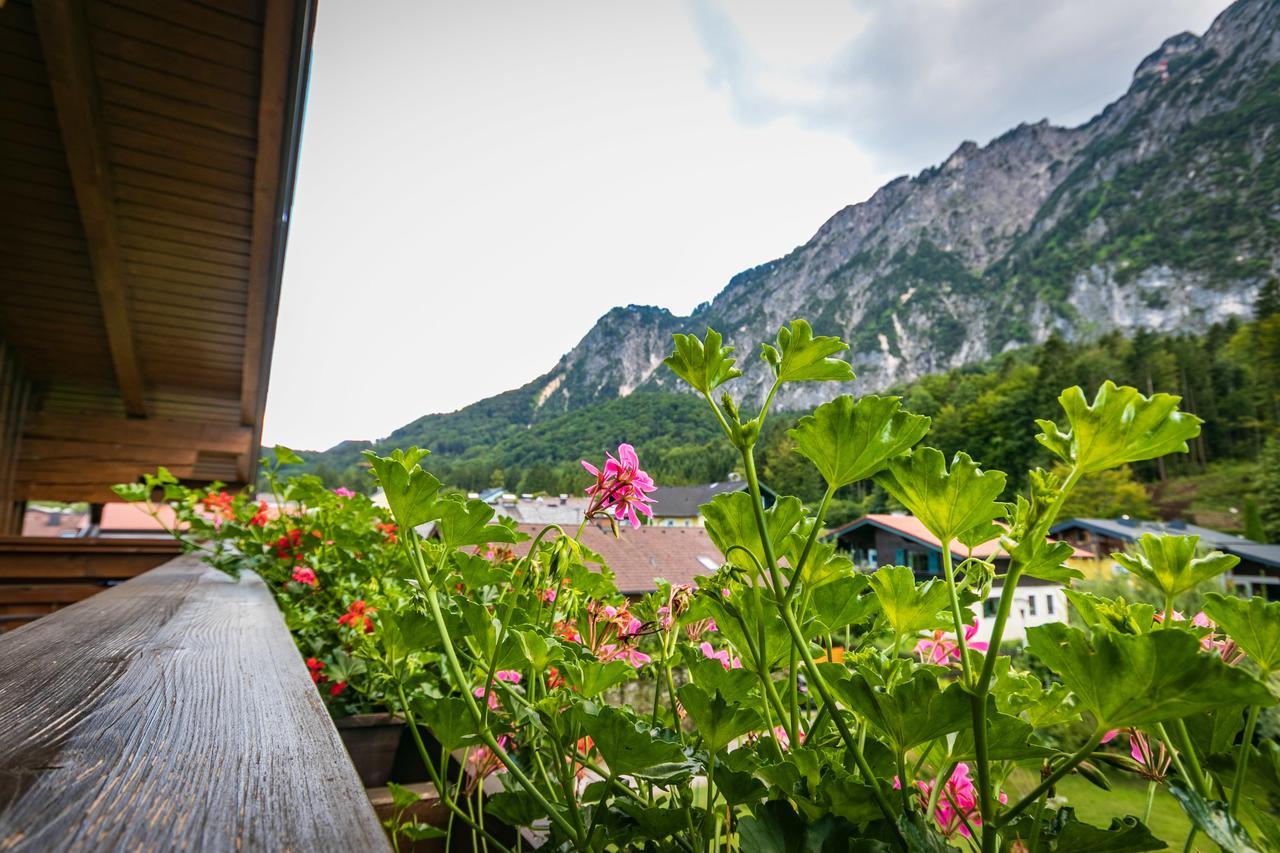 Pension Bergfried Grodig Ngoại thất bức ảnh